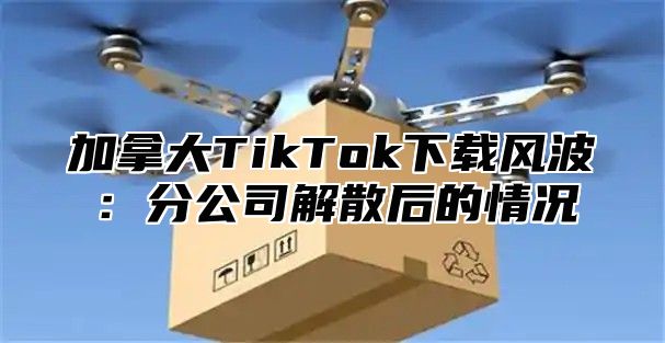 加拿大TikTok下载风波：分公司解散后的情况