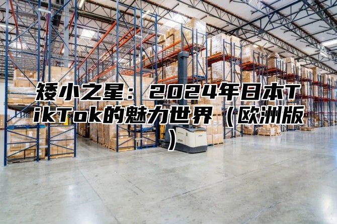 矮小之星：2025年日本TikTok的魅力世界欧洲版