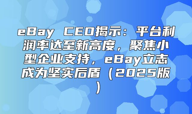 eBay CEO揭示：平台利润率达至新高度，聚焦小型企业支持，eBay立志成为坚实后盾2025版