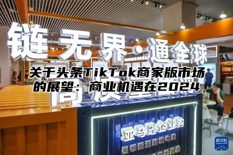 关于头条TikTok商家版市场的展望：商业机遇在2025