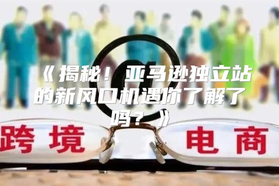 揭秘！亚马逊独立站的新风口机遇你了解了吗？