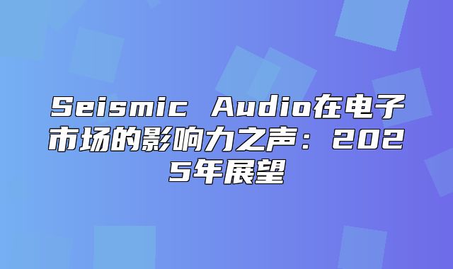 Seismic Audio在电子市场的影响力之声：2025年展望