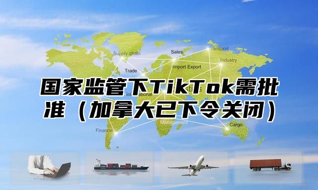 国家监管下TikTok需批准加拿大已下令关闭