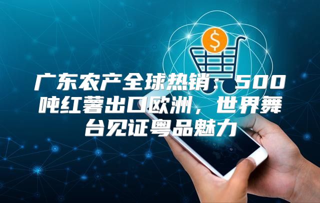 广东农产全球热销：500吨红薯出口欧洲，世界舞台见证粤品魅力