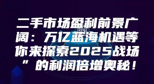 二手市场盈利前景广阔：万亿蓝海机遇等你来探索2025战场”的利润倍增奥秘！