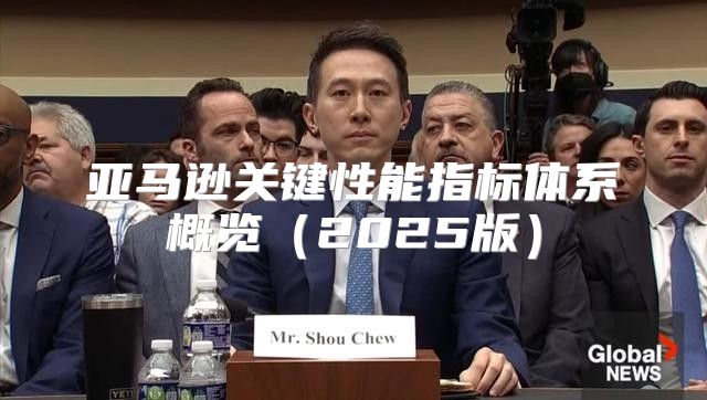 亚马逊关键性能指标体系概览2025版