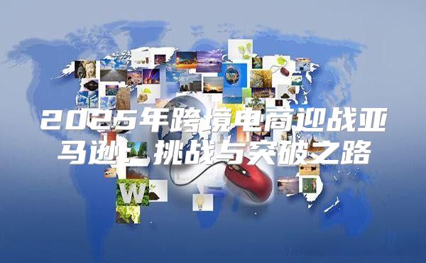 2025年跨境电商迎战亚马逊：挑战与突破之路