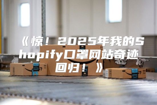惊！2025年我的Shopify口罩网站奇迹回归！