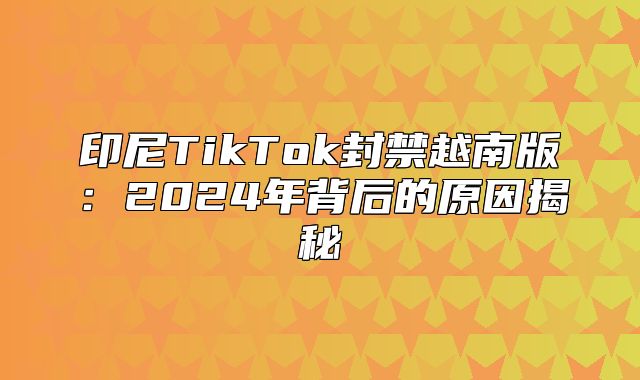 印尼TikTok封禁越南版：2025年背后的原因揭秘