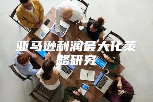 亚马逊利润最大化策略研究