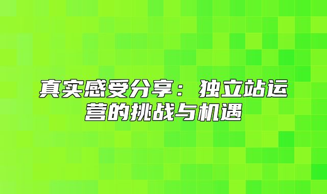 真实感受分享：独立站运营的挑战与机遇