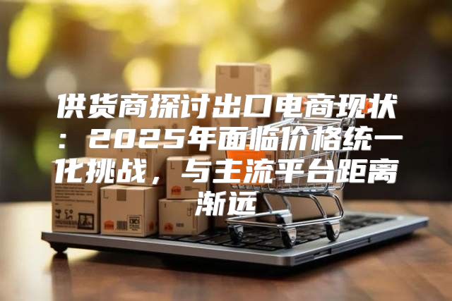 供货商探讨出口电商现状：2025年面临价格统一化挑战，与主流平台距离渐远