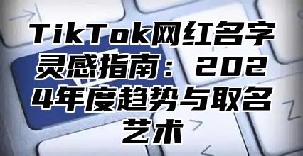 TikTok网红名字灵感指南：2025年度趋势与取名艺术