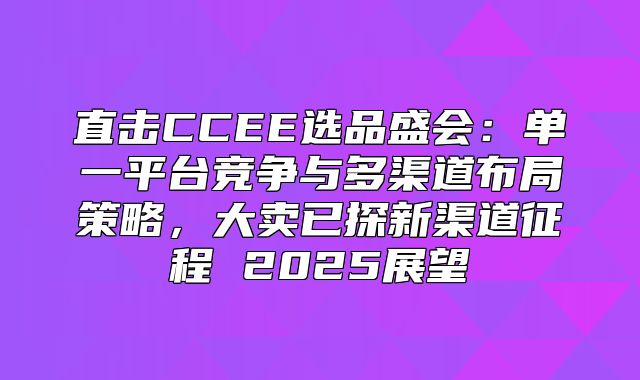 直击CCEE选品盛会：单一平台竞争与多渠道布局策略，大卖已探新渠道征程 2025展望