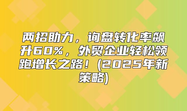 两招助力，询盘转化率飙升60%，外贸企业轻松领跑增长之路！(2025年新策略)
