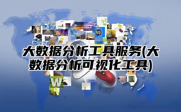 大数据分析工具服务(大数据分析可视化工具)