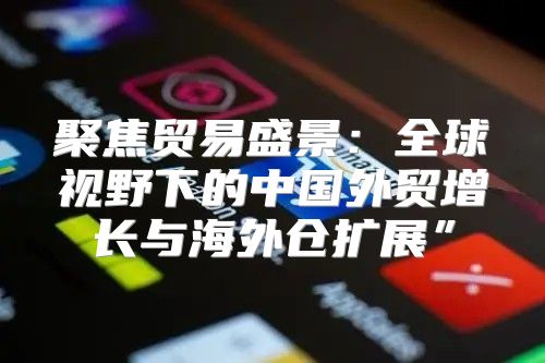 聚焦贸易盛景：全球视野下的中国外贸增长与海外仓扩展”