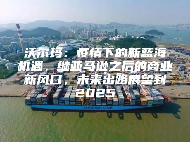 沃尔玛：疫情下的新蓝海机遇，继亚马逊之后的商业新风口，未来出路展望到2025