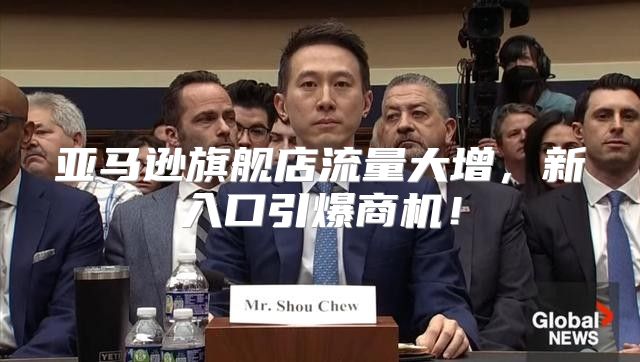 亚马逊旗舰店流量大增，新入口引爆商机！