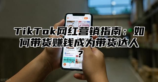 TikTok网红营销指南：如何带货赚钱成为带货达人？