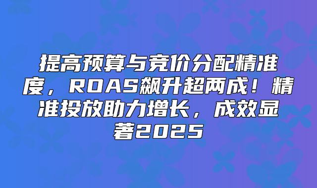 提高预算与竞价分配精准度，ROAS飙升超两成！精准投放助力增长，成效显著2025