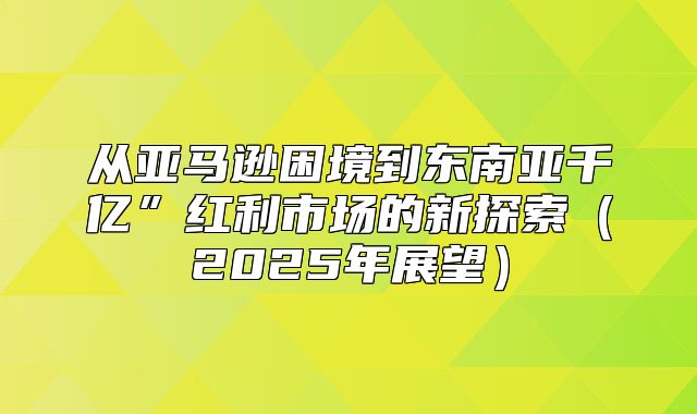从亚马逊困境到东南亚千亿”红利市场的新探索2025年展望