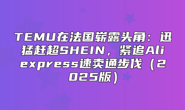 TEMU在法国崭露头角：迅猛赶超SHEIN，紧追Aliexpress速卖通步伐2025版