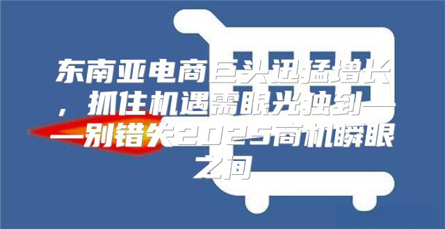 东南亚电商巨头迅猛增长，抓住机遇需眼光独到——别错失2025商机瞬眼之间