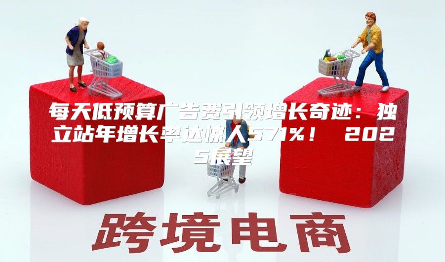 每天低预算广告费引领增长奇迹：独立站年增长率达惊人571%！ 2025展望