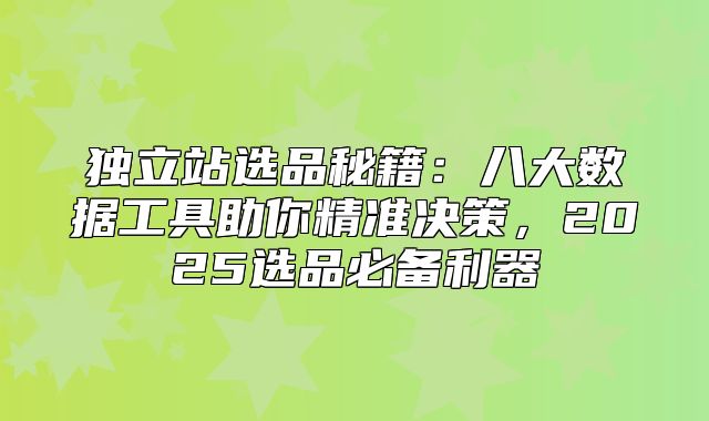 独立站选品秘籍：八大数据工具助你精准决策，2025选品必备利器