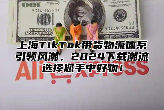 上海TikTok带货物流体系引领风潮，2025下载潮流选择您手中好物！