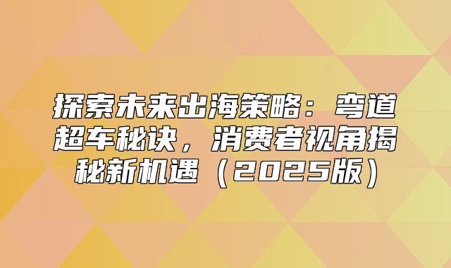 探索未来出海策略：弯道超车秘诀，消费者视角揭秘新机遇2025版