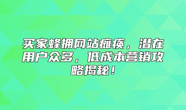买家蜂拥网站瘫痪，潜在用户众多，低成本营销攻略揭秘！
