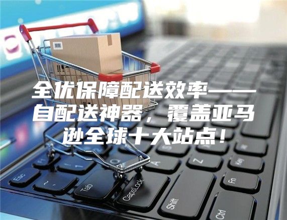 全优保障配送效率——自配送神器，覆盖亚马逊全球十大站点！