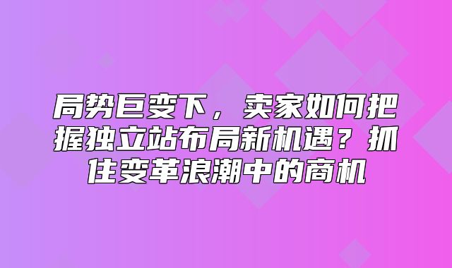 局势巨变下，卖家如何把握独立站布局新机遇？抓住变革浪潮中的商机