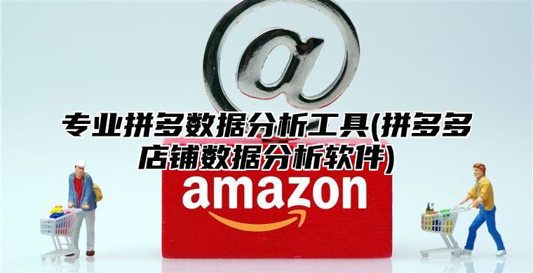 专业拼多数据分析工具(拼多多店铺数据分析软件)