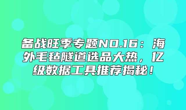 备战旺季专题NO.16：海外毛毡隧道选品大热，亿级数据工具推荐揭秘！