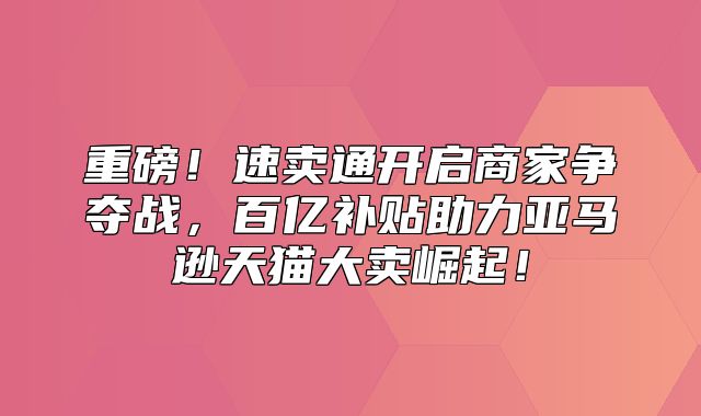 重磅！速卖通开启商家争夺战，百亿补贴助力亚马逊天猫大卖崛起！