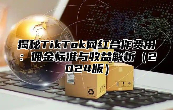 揭秘TikTok网红合作费用：佣金标准与收益解析2025版