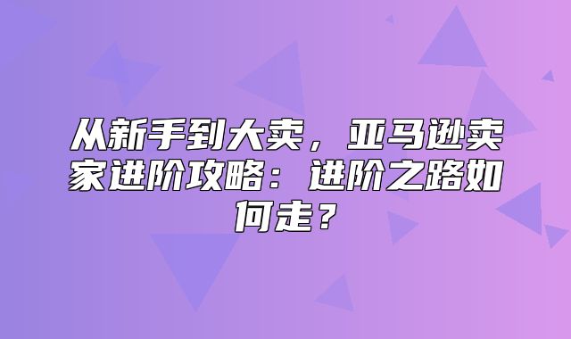 从新手到大卖，亚马逊卖家进阶攻略：进阶之路如何走？