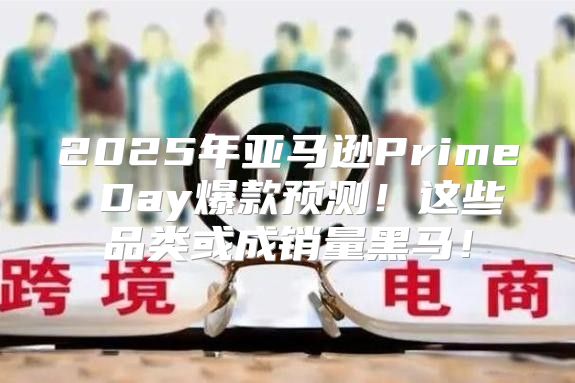 2025年亚马逊Prime Day爆款预测！这些品类或成销量黑马！