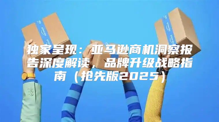 独家呈现：亚马逊商机洞察报告深度解读，品牌升级战略指南抢先版2025