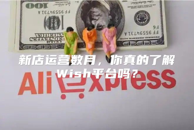 新店运营数月，你真的了解Wish平台吗？