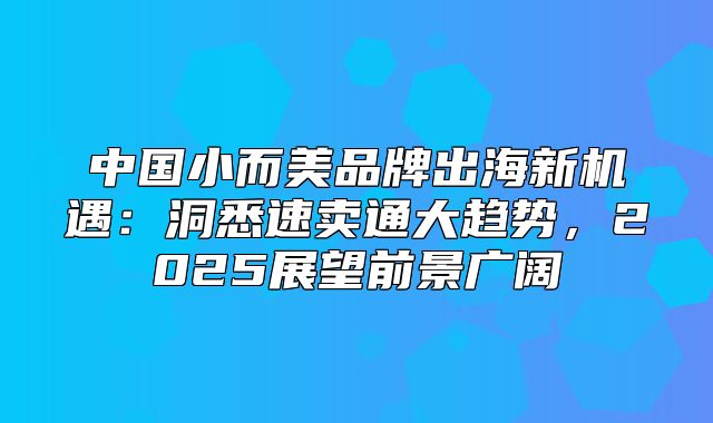中国小而美品牌出海新机遇：洞悉速卖通大趋势，2025展望前景广阔