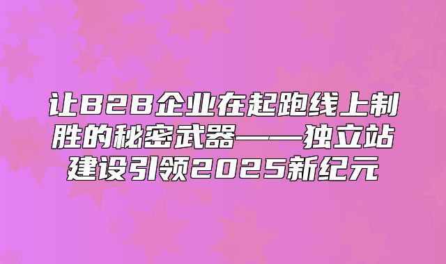 让B2B企业在起跑线上制胜的秘密武器——独立站建设引领2025新纪元