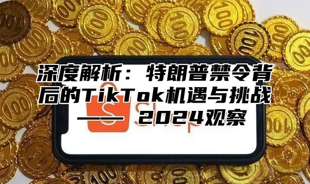 深度解析：特朗普禁令背后的TikTok机遇与挑战 —— 2025观察