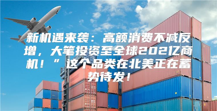 新机遇来袭：高额消费不减反增，大笔投资至全球202亿商机！”这个品类在北美正在蓄势待发！