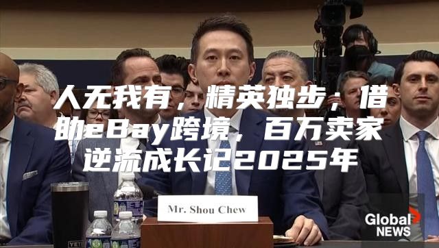 人无我有，精英独步；借助eBay跨境，百万卖家逆流成长记2025年