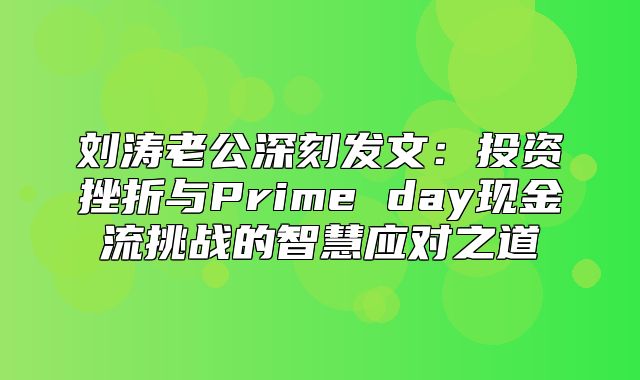 刘涛老公深刻发文：投资挫折与Prime day现金流挑战的智慧应对之道