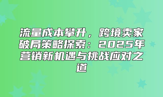流量成本攀升，跨境卖家破局策略探索：2025年营销新机遇与挑战应对之道